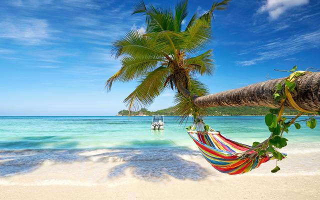 How to Find Events Near You in the Caribbean